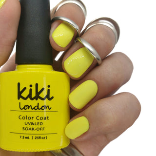Neon Pastel Collection